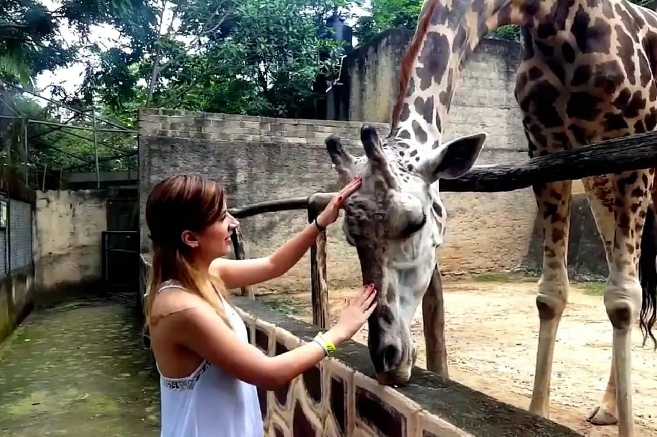 Zoológico Puerto Vallarta: Aventura Animal y Conservación en Jalisco
