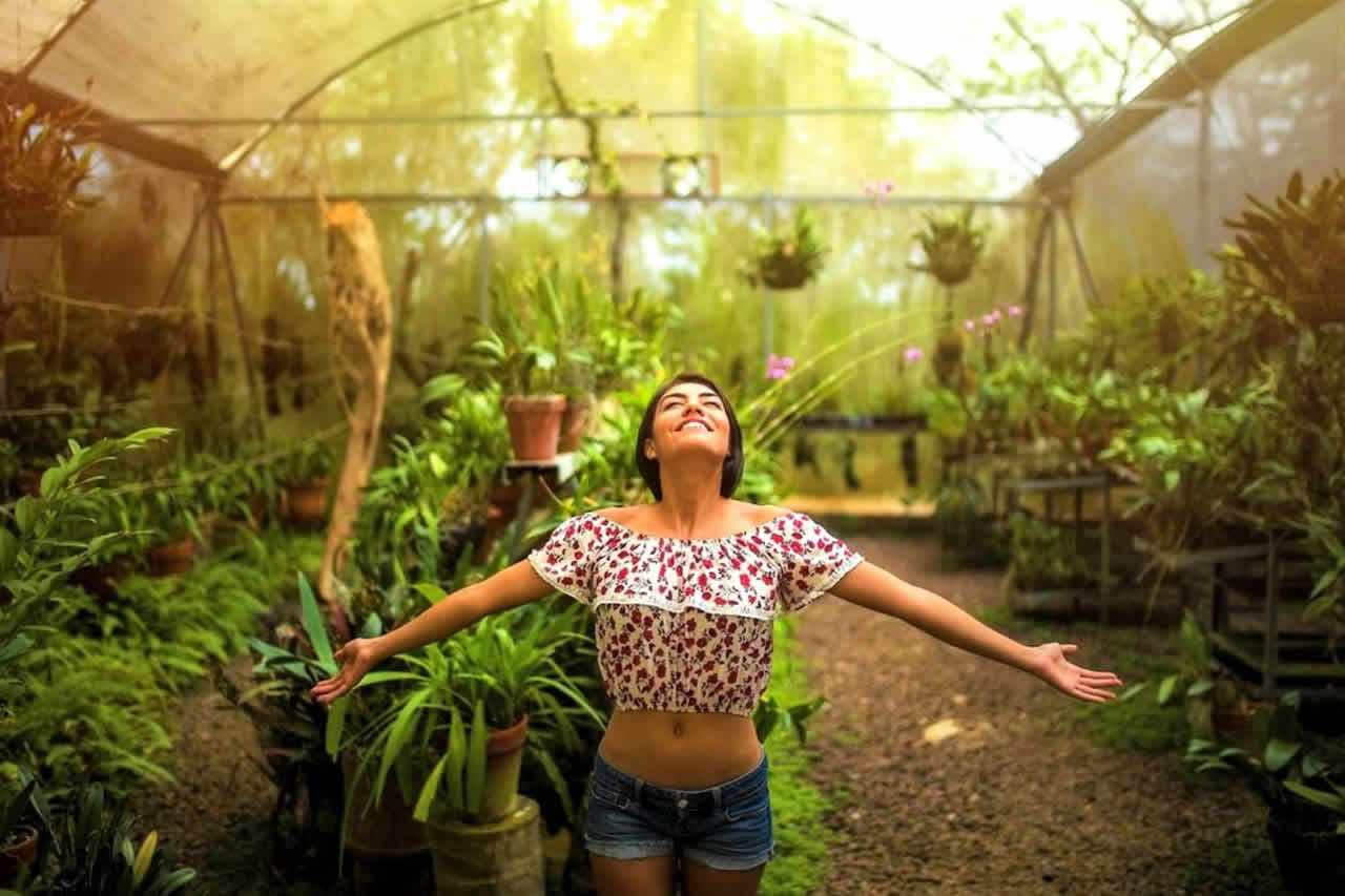Lo De Perla Jungle Garden: Un Jardín Botánico a La Orilla del Mar