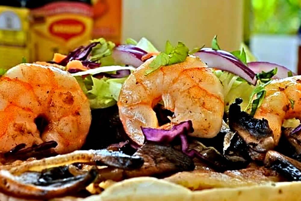 El Perro Marinero Puerto Vallarta | Mariscos Frescos y Ambiente Casual Frente al Mar