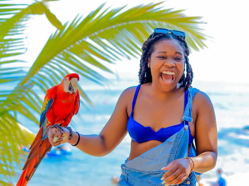 Las Caletas Beach Hideaway | Playa Privada en Puerto Vallarta