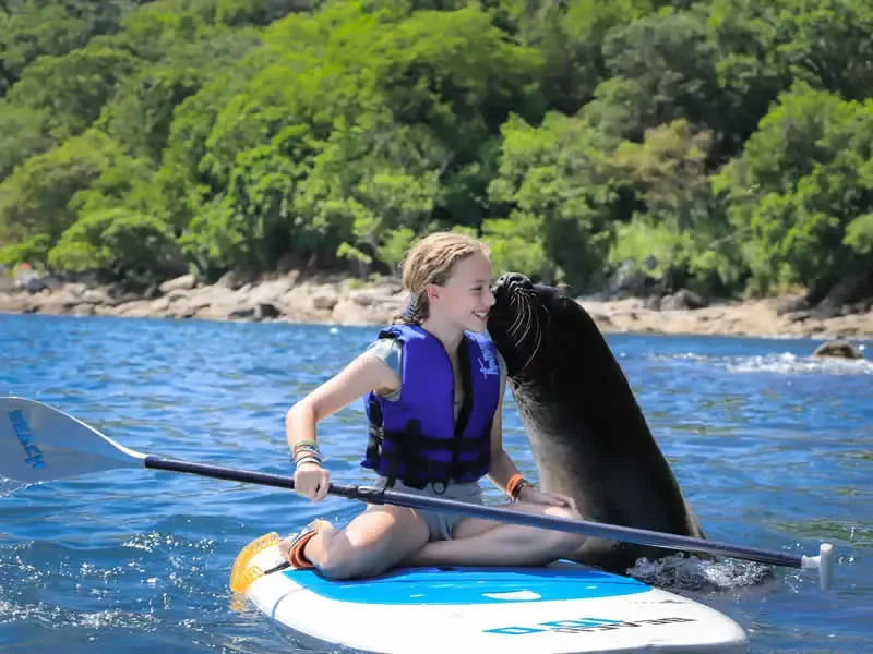 Las Caletas Beach Hideaway | Playa Privada en Puerto Vallarta