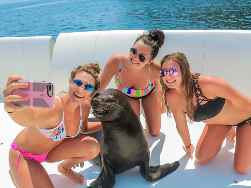 Las Caletas Beach Hideaway | Playa Privada en Puerto Vallarta