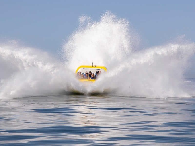 Ocean Mania | Aventura Acuática en Puerto Vallarta