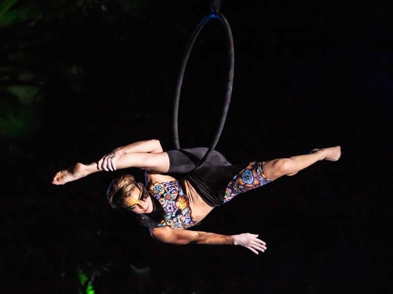 Los Mejores Tours en Puerto Vallarta | Aventura, Ecoturismo y Diversión para Todos