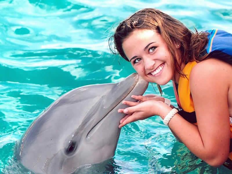 Los Mejores Tours en Puerto Vallarta | Aventura, Ecoturismo y Diversión para Todos