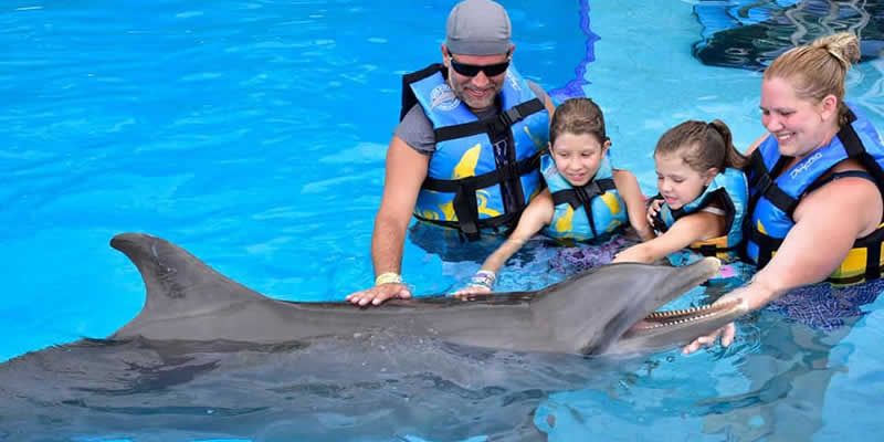 Royal Swim en Puerto Vallarta | Nado Exclusivo con Delfines