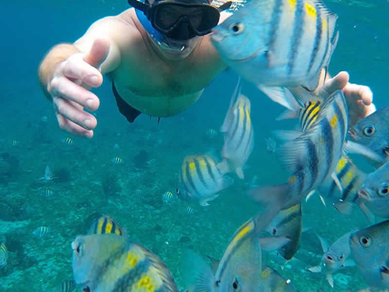 Tour Los Arcos, Las Ánimas y Quimixto | Puerto Vallarta