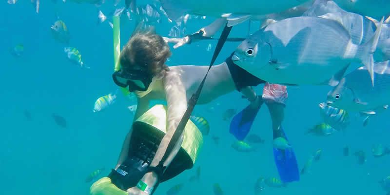 Ocean Mania | Aventura Acuática en Puerto Vallarta