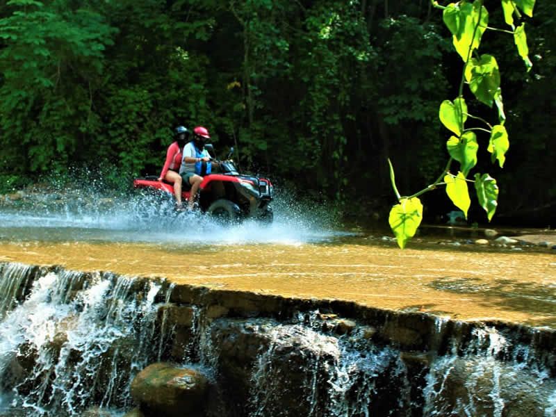 Los Mejores Tours en Puerto Vallarta | Aventura, Ecoturismo y Diversión para Todos